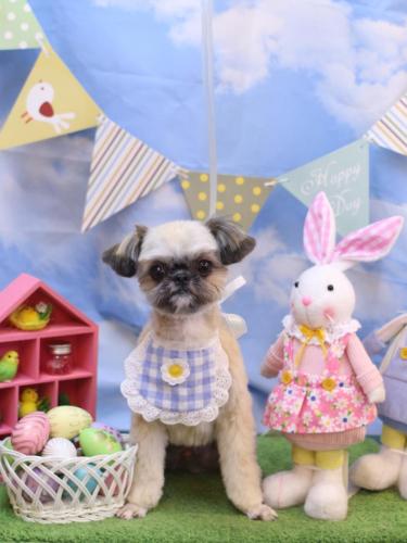 20240321じじくん